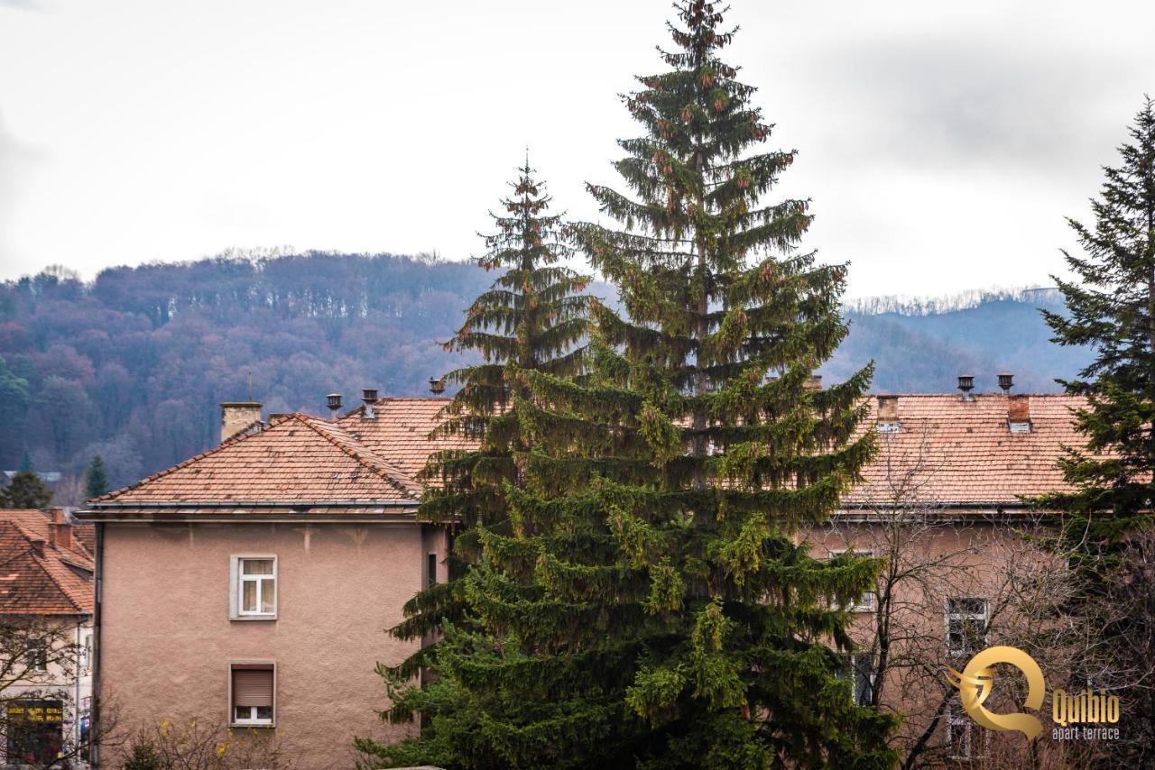 Quibio Apart Terrace Brasov Luaran gambar