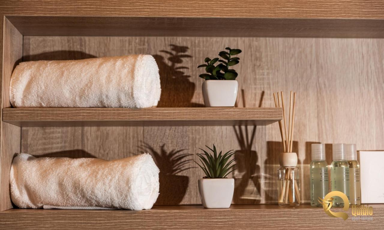 Quibio Apart Terrace Brasov Luaran gambar